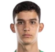 桑托斯拉古纳